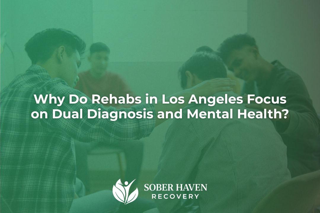 Why Do Rehabs in Los Angeles Focus on Dual Diagnosis and Mental Health